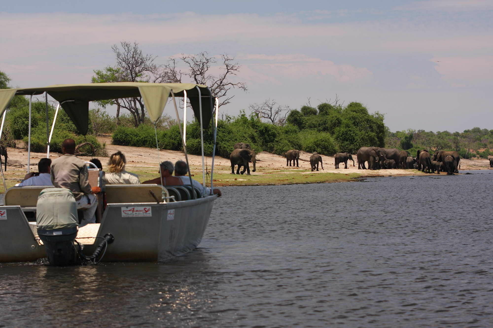 Elephant Valley Lodge Kasane Dış mekan fotoğraf
